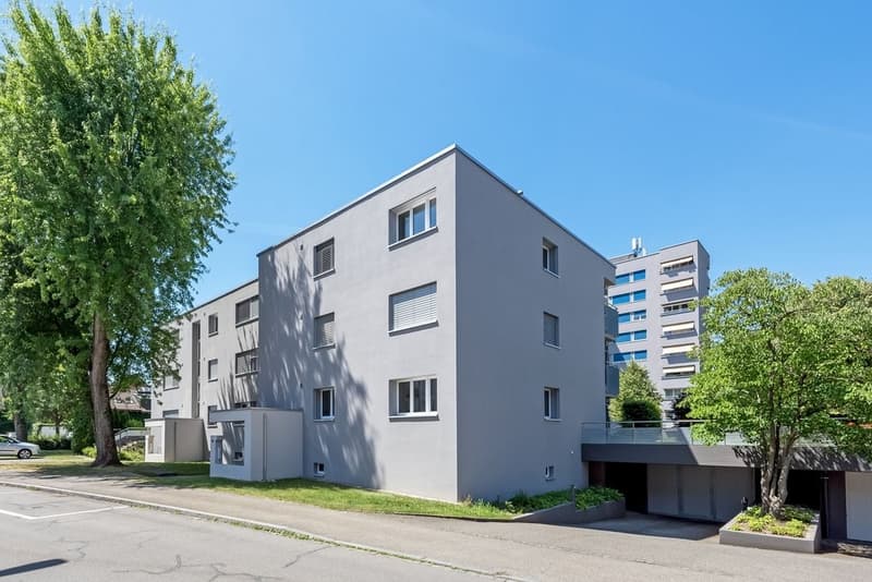 Garageneinfahrt