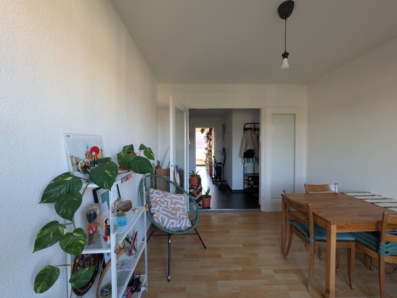 PXL_20260819_061642079