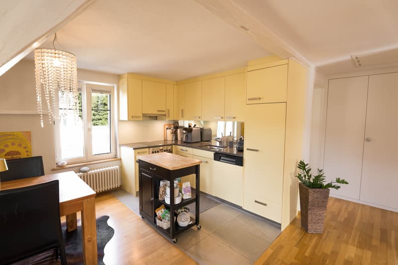 Charmante 3-Zimmer-Dachwohnung in Adliswil (1)