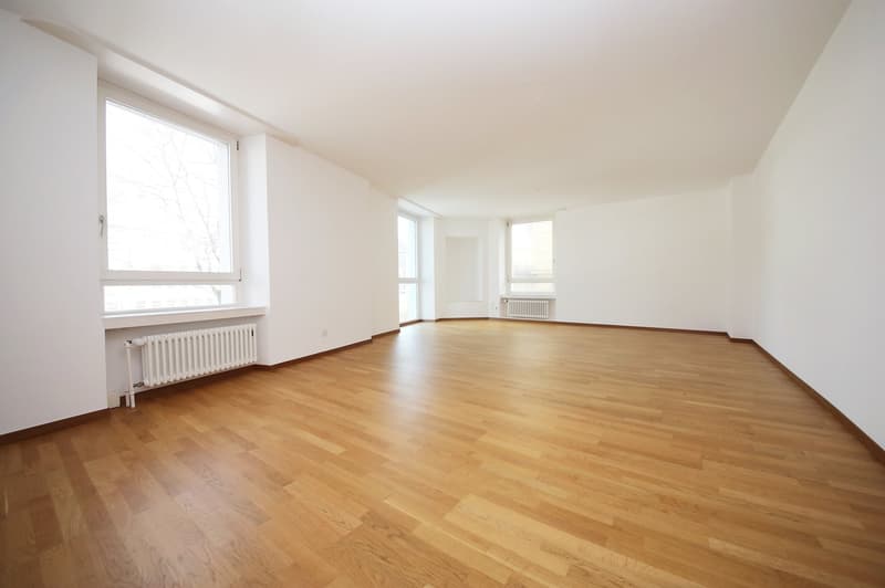 Gepflegte 3 1/2-Zimmer-Wohnung (103 m2), Mitten im Kreis 7 (2)