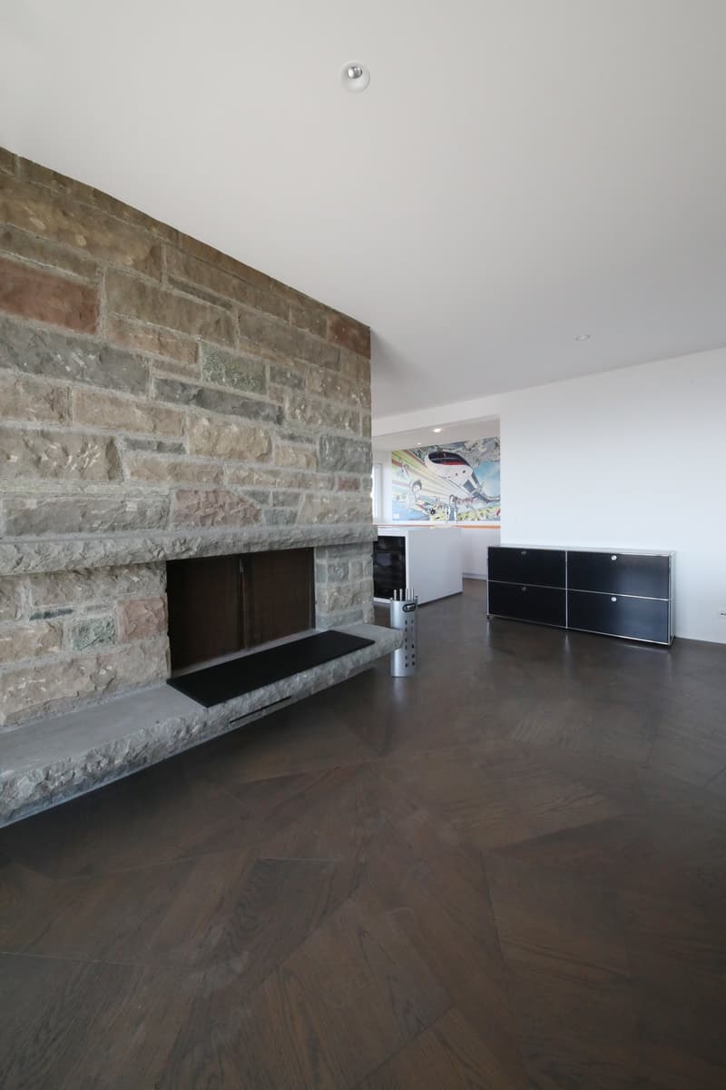 Liebhaberobjekt - 5 1/2-Zimmer-Wohnung mit Terrasse und Weitsicht über Zürich, See und Berger (9)