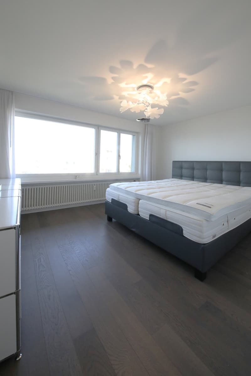 Liebhaberobjekt - 5 1/2-Zimmer-Wohnung mit Terrasse und Weitsicht über Zürich, See und Berger (10)