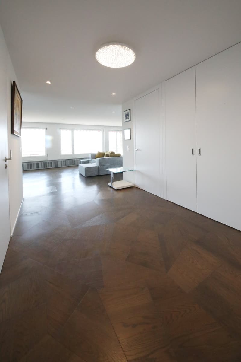 Liebhaberobjekt - 5 1/2-Zimmer-Wohnung mit Terrasse und Weitsicht über Zürich, See und Berger (7)