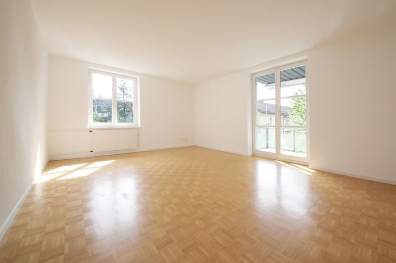 Gepflegte 3-Zimmer-Wohnung mit grossem Balkon, absolut ruhig, Nähe Nordbrücke (2)