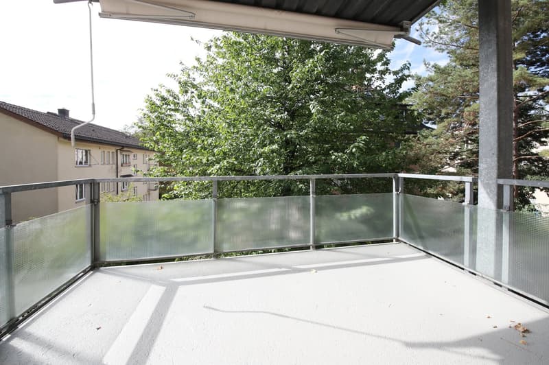 Gepflegte 3-Zimmer-Wohnung mit grossem Balkon, absolut ruhig, Nähe Nordbrücke (1)
