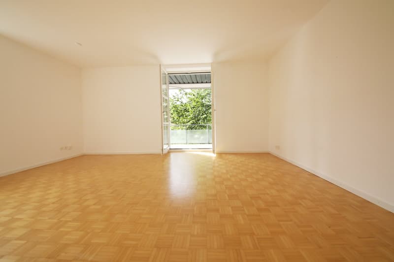 Gepflegte 3-Zimmer-Wohnung mit grossem Balkon, absolut ruhig, Nähe Nordbrücke (3)