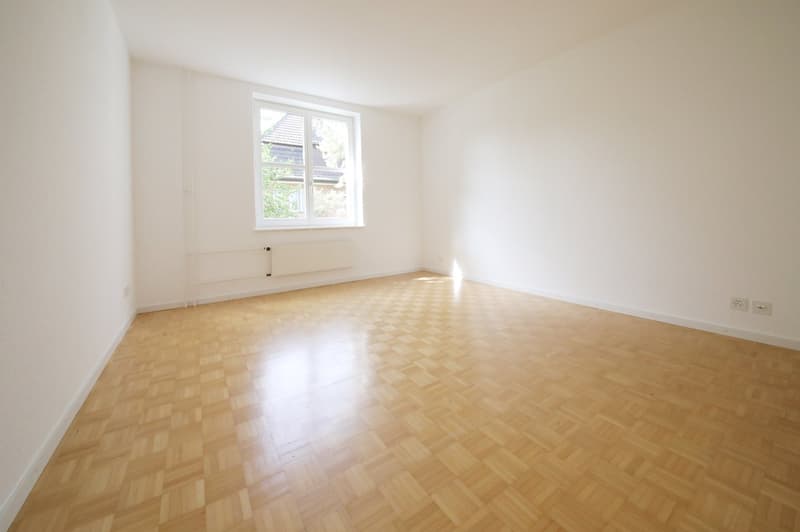 Gepflegte 3-Zimmer-Wohnung mit grossem Balkon, absolut ruhig, Nähe Nordbrücke (5)
