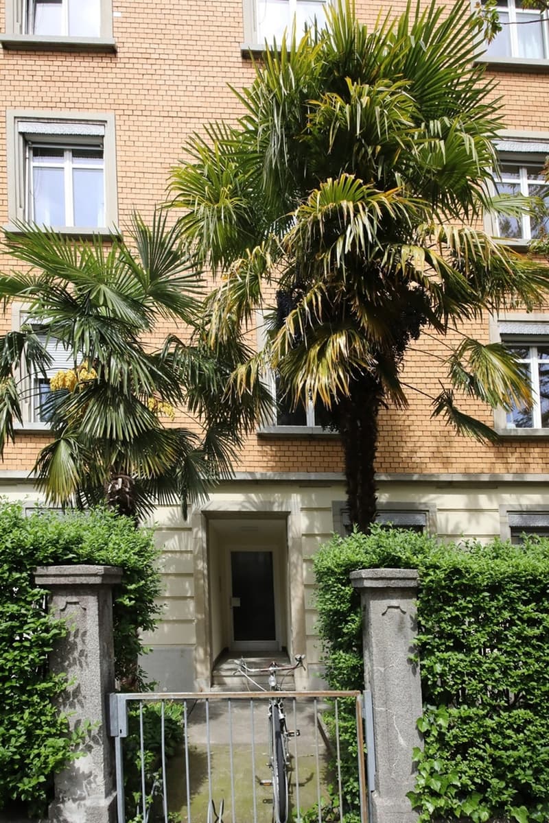 Charmante 3.5-Zimmer / Altbauwohnung mit 2 Balkonen, ruhiger Lage, Wiedikon (3)