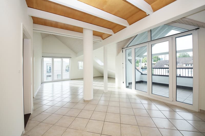 gepflegte und renovierte Dachwohnung (86 m2) mit Terrasse (10 m2) (2)