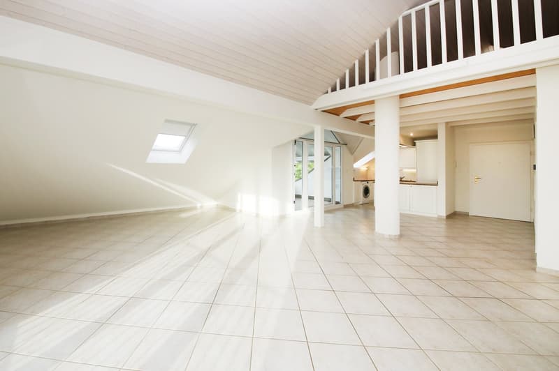 gepflegte und renovierte Dachwohnung (86 m2) mit Terrasse (10 m2) (1)