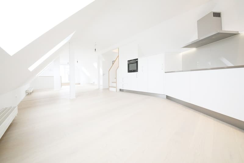 Top 3 1/2-Zimmer-Maisonette-Dachwohnung (115 m2) mit 2 Terrassen, Stauffacher (3)