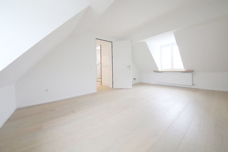 Top 3 1/2-Zimmer-Maisonette-Dachwohnung (115 m2) mit 2 Terrassen, Stauffacher (7)