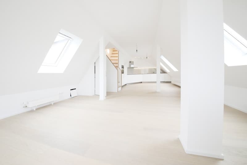 Top 3 1/2-Zimmer-Maisonette-Dachwohnung (115 m2) mit 2 Terrassen, Stauffacher (1)
