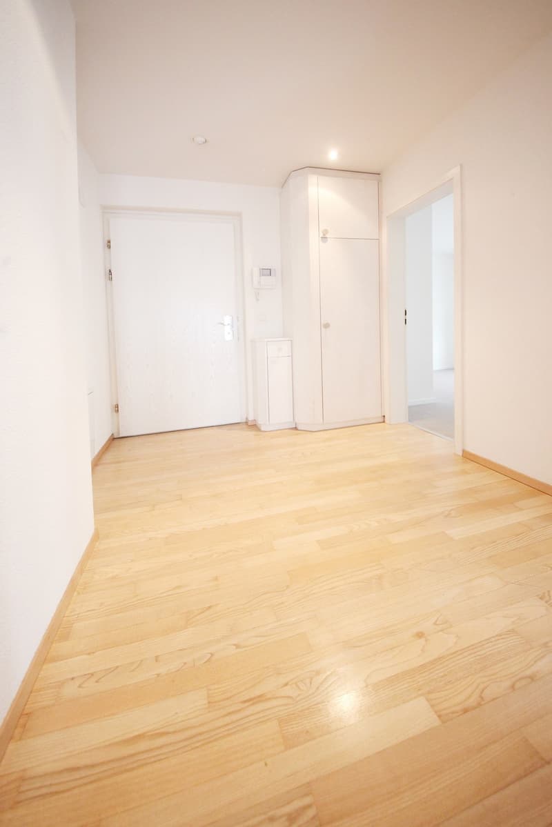 Top ausgebaute 2.5 ZW (80m2)  mit Balkon und eig. Waschküche, Kreis 6 (2)