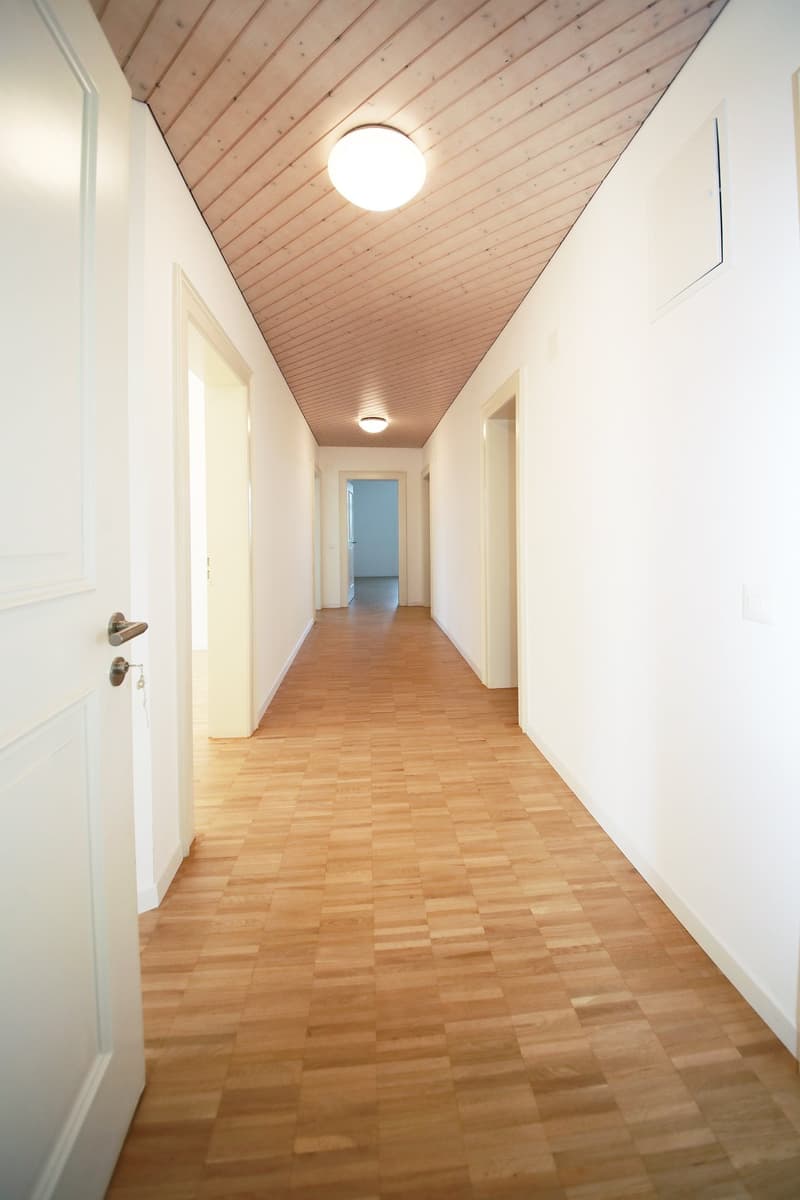 Grosse 5 Zimmer-Wohnung mit 3 Schlafzimmer, Balkon mit Blick auf Stadt und See (3)