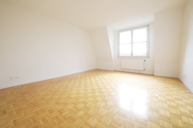 Gepflegte 3-Zimmer-Dachwohnung an absolut ruhiger Lage, Nähe Nordbrücke (4)