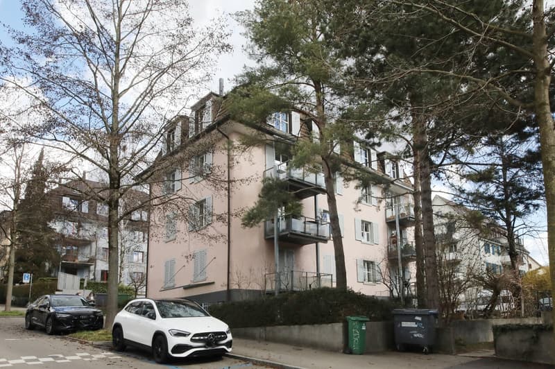 Gepflegte 3-Zimmer-Dachwohnung an absolut ruhiger Lage, Nähe Nordbrücke (9)