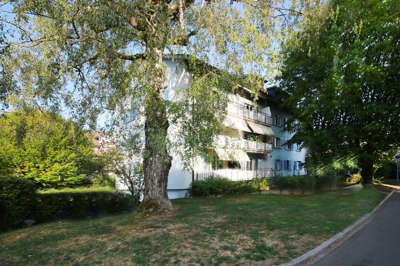 renoviertes grosszügiges Studio mit 30 m2, grosser Küche und Bad/WC (7)