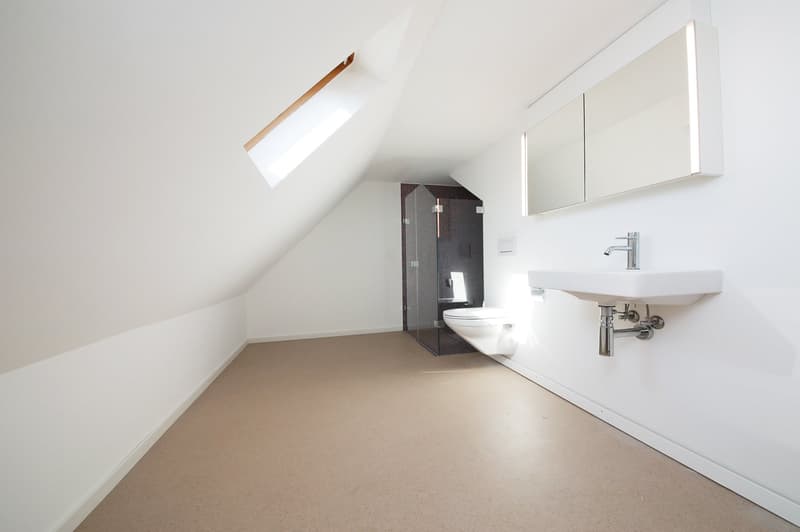 Stilvoll renovierte 5.5-Zimmer-Altbauwohnung mit eigener und Dachterrasse (6)