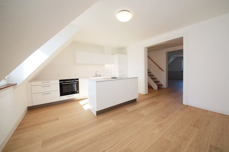 Stilvoll renovierte 5.5-Zimmer-Altbauwohnung mit eigener und Dachterrasse (1)