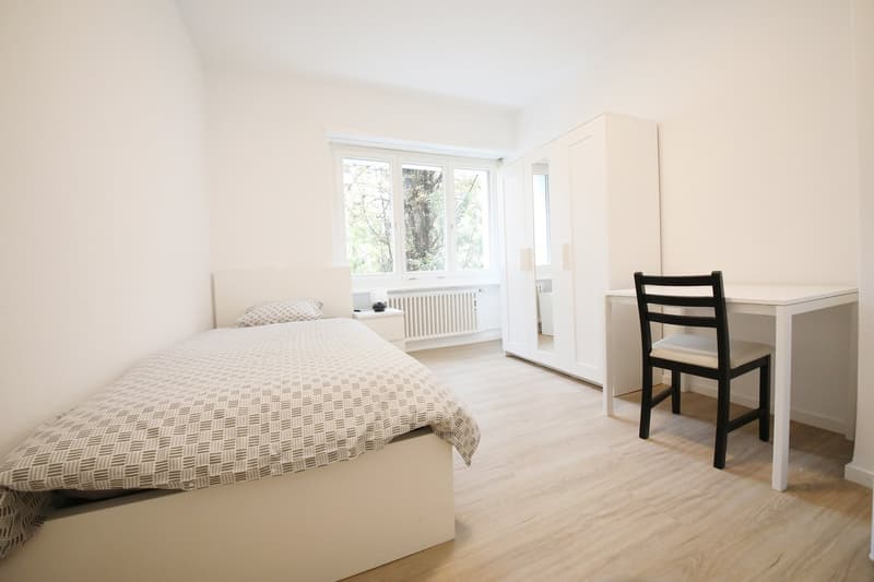 Gepflegtes, möbliertes Studio direkt Stauffacher (1)
