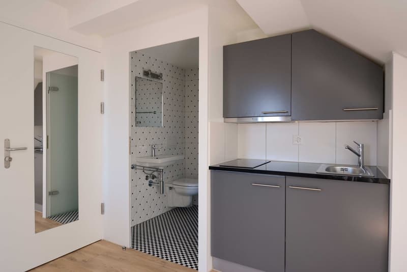 Moderne, möblierte 1-Zimmerwohnung am Schöneggplatz (4)