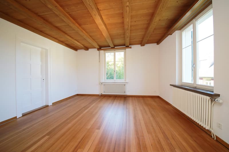 Charmantes 5 1/2-Zimmer-Einfamilienhaus mit idyllischem Garten von 650 m2 (9)