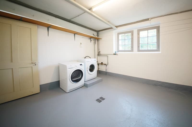 Charmantes 5 1/2-Zimmer-Einfamilienhaus mit idyllischem Garten von 650 m2 (16)