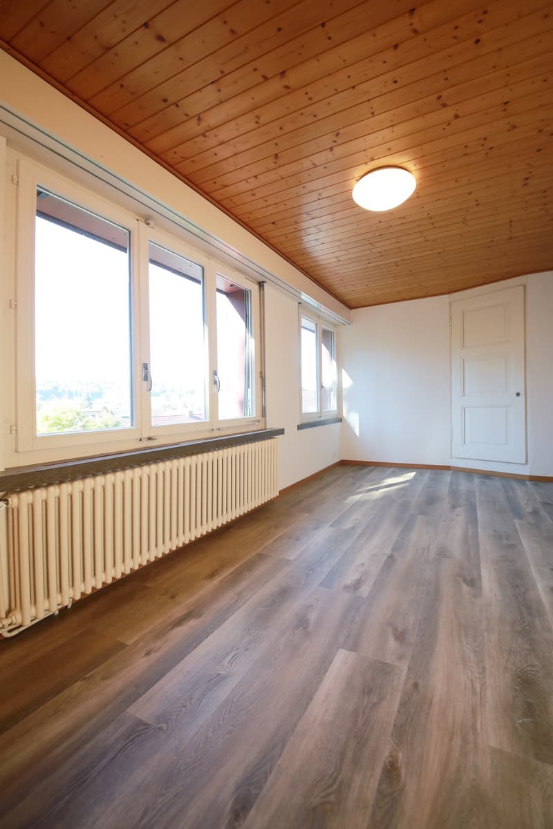 Charmantes 5 1/2-Zimmer-Einfamilienhaus mit idyllischem Garten von 650 m2 (11)