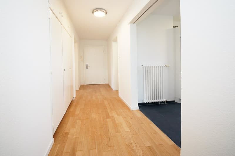 Renovierte 2.5-Zimmer-Dachwohnung (4)