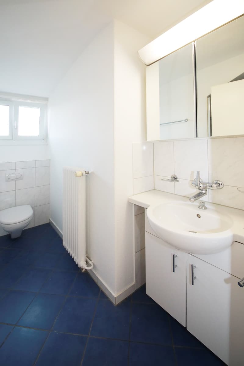 Renovierte 2.5-Zimmer-Dachwohnung (9)
