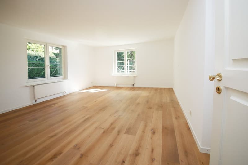 Herrschaftliche 4.5-Zimmer-Wohnung, 145 m2, mit voller Seesicht und grosser Terrasse (12)
