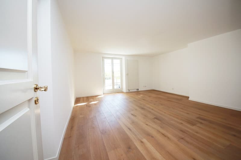 Herrschaftliche 4.5-Zimmer-Wohnung, 145 m2, mit voller Seesicht und grosser Terrasse (13)