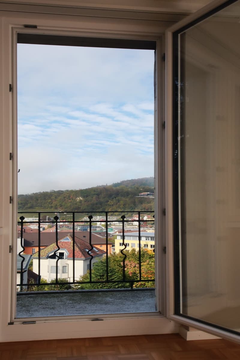 Top renovierte 3.5 Zimmer-Wohnung mit 2 Balkonen, 1. OG mit Gartensitzplatz (5)
