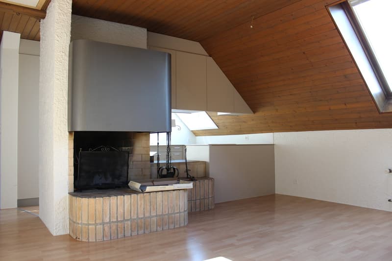 Dachwohnung mit Charme (1)