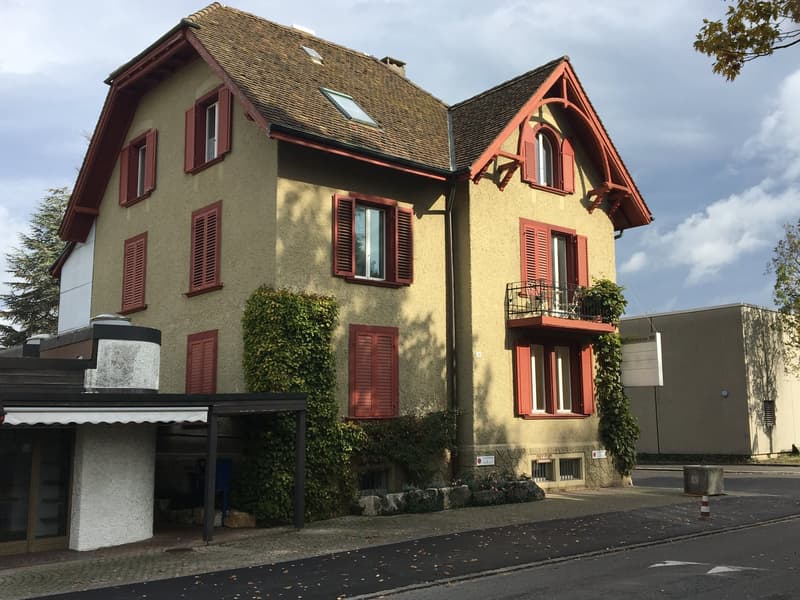 Dachwohnung mit Charme (11)