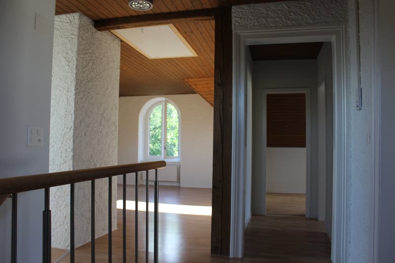 Dachwohnung mit Charme (4)