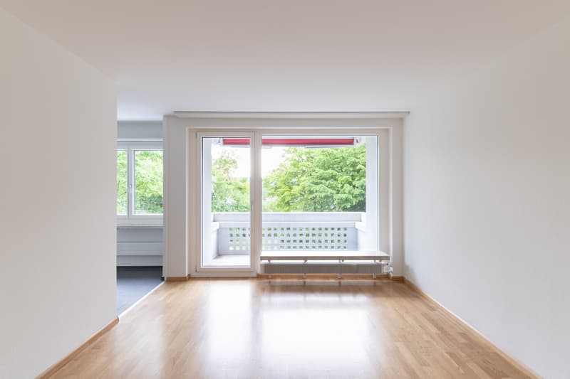 Ruhige, sanierte 4.5-Zimmerwohnung 76m2 nähe ÖV (8)
