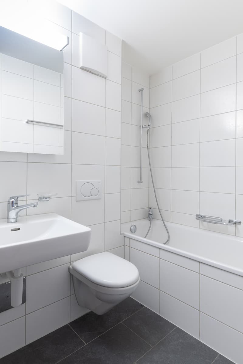 Ruhige, sanierte 4.5-Zimmerwohnung 76m2 nähe ÖV (6)