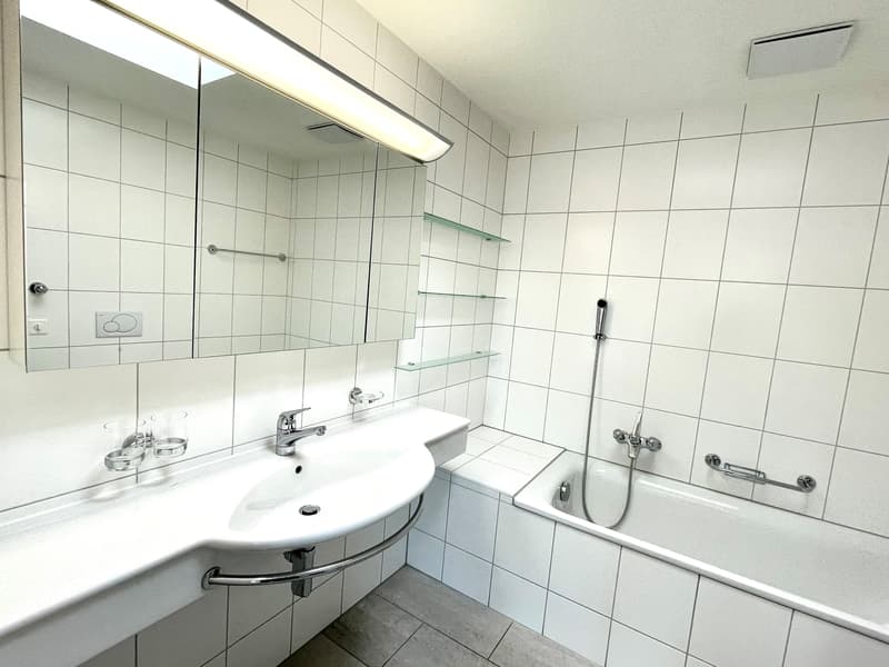Lichtdurchflutete 5.5-Zimmer-Attikawohnung an perfekter Aussichtslage! (6)