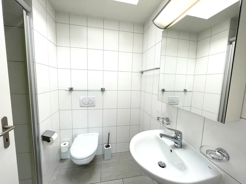 Lichtdurchflutete 5.5-Zimmer-Attikawohnung an perfekter Aussichtslage! (8)