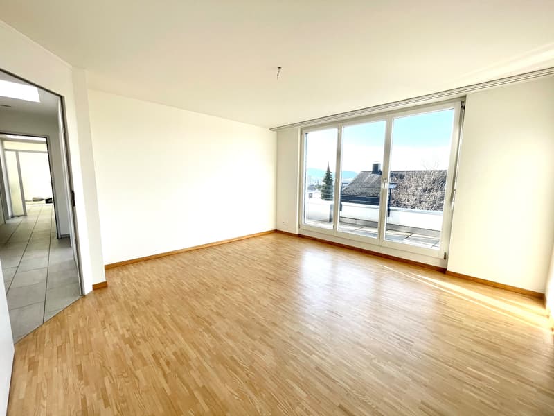 Lichtdurchflutete 5.5-Zimmer-Attikawohnung an perfekter Aussichtslage! (9)