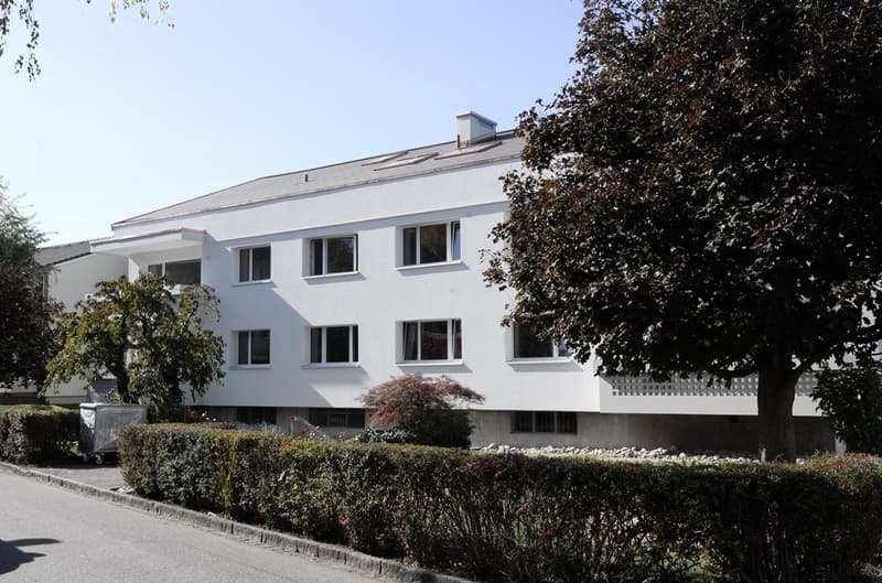 Totalsanierte 1.5-Zimmerwohnung an zentraler Lage! (2)