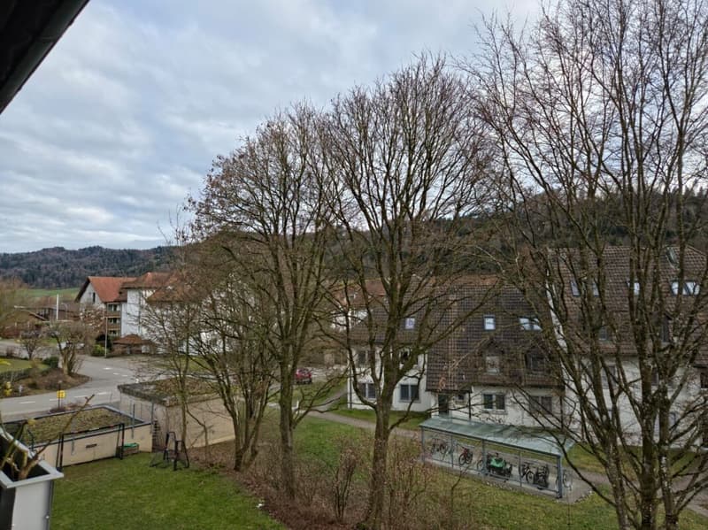 Zu verkaufen im Zihlackerring 13 in Turbenthal grosse 4.5 Zi.-Wohnung. Nur 2 Gehminuten bis ÖV. (17)