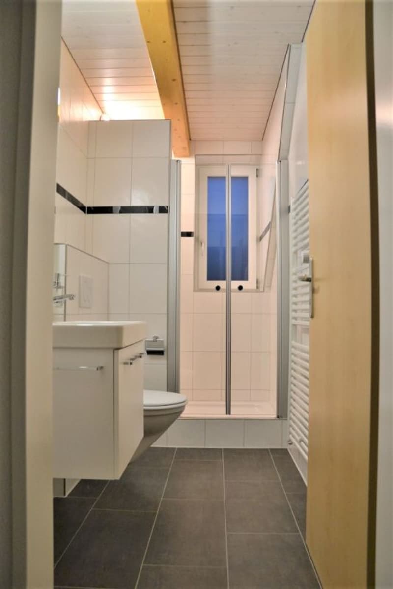 Zu vermieten 3 Zi.-Dachwohnung an der Wylandstrasse 3a in Winterthur (9)