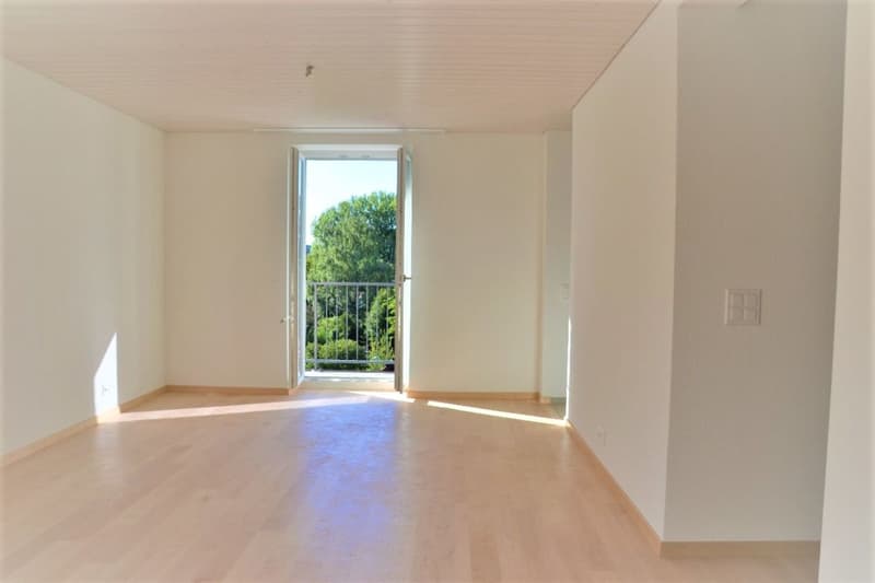 Zu vermieten 3 Zi.-Dachwohnung an der Wylandstr. 3a in Winterthur (8)