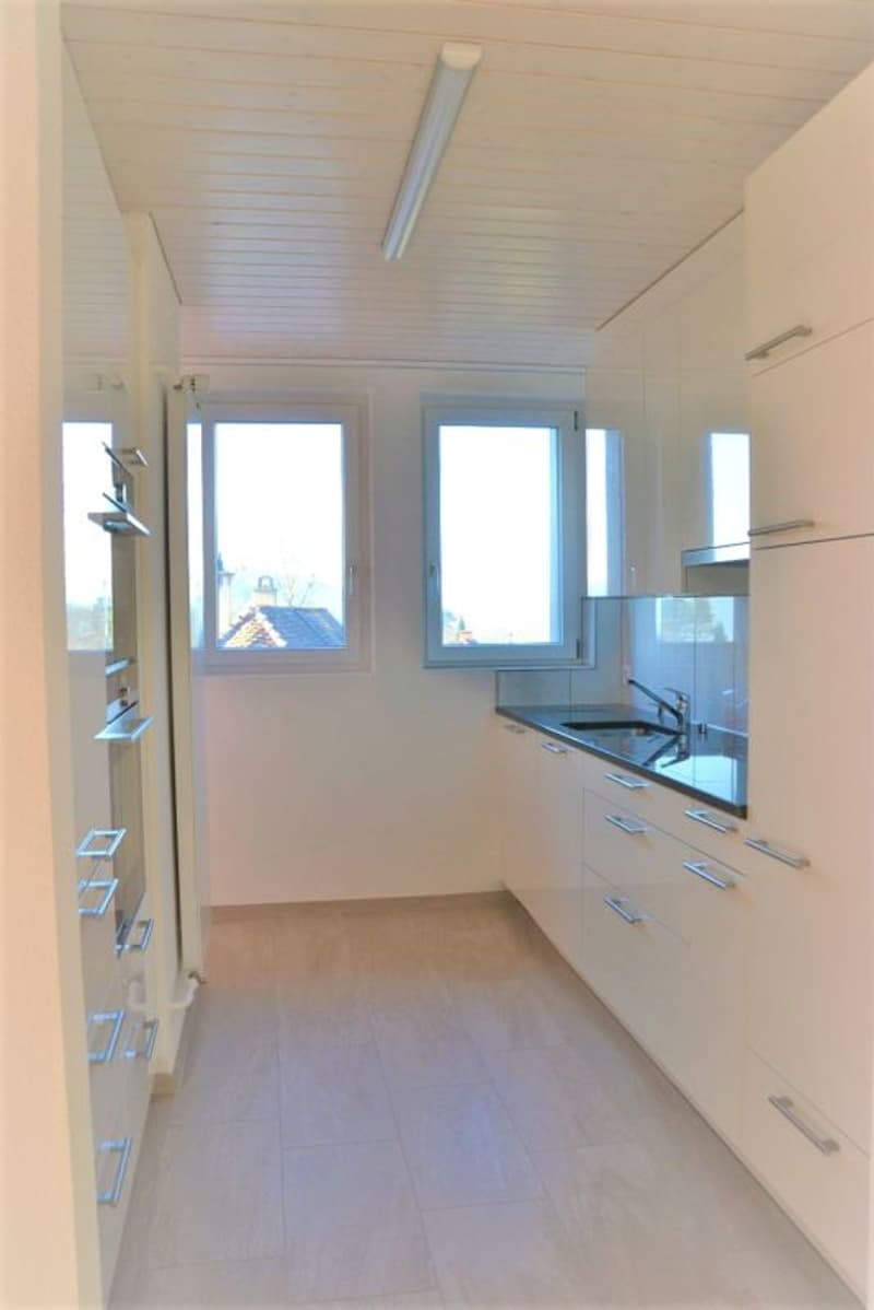 Zu vermieten 3 Zi.-Dachwohnung an der Wylandstr. 3a in Winterthur (5)