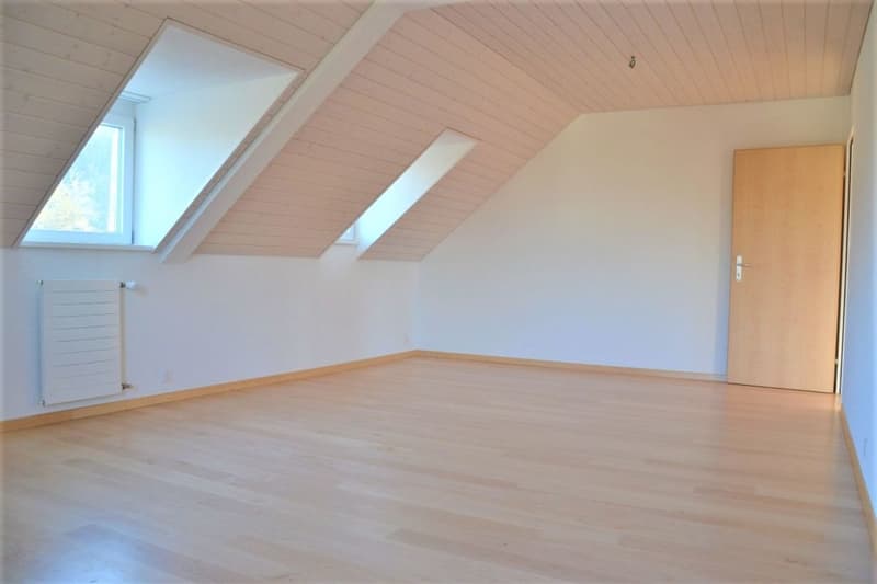 Zu vermieten 3 Zi.-Dachwohnung an der Wylandstr. 3a in Winterthur (6)