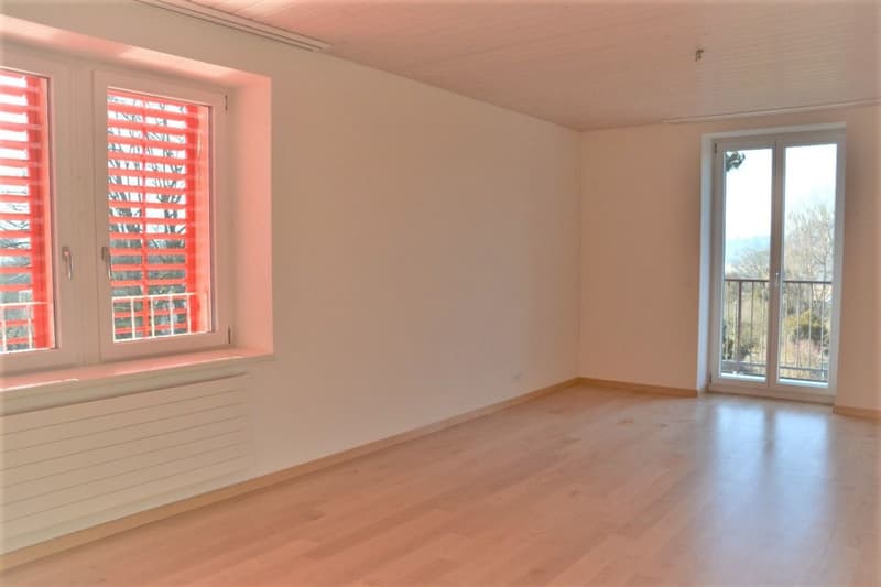 Zu vermieten 3 Zi.-Dachwohnung an der Wylandstr. 3a in Winterthur (7)