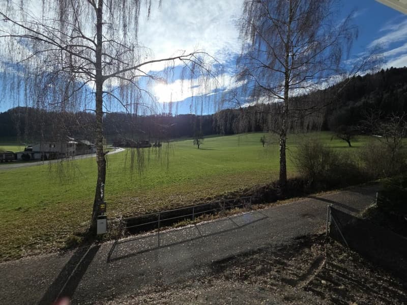 Zu verkaufen in 8362 Itaslen bei Balterswil, neues 5½ Zi.-ECK-EFH, an unverbaubarer Lage angrenzend an Landwirtschaftszone, mit Weitsicht auf Wiese und Wald ! (26)